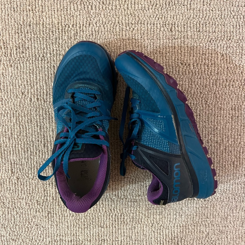 Salomon Trailster GTX
